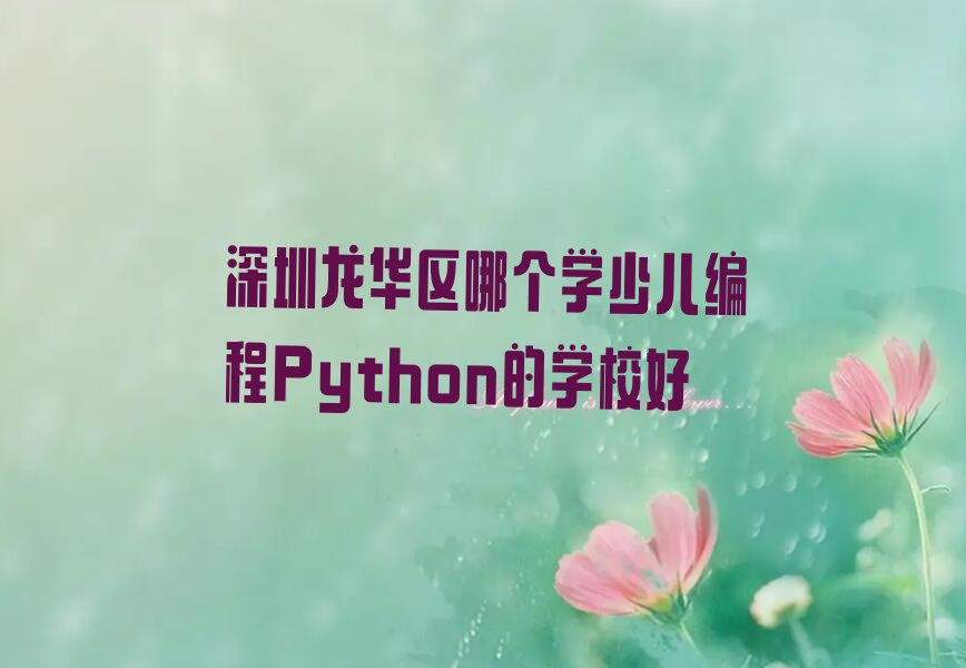 深圳少儿编程培训班