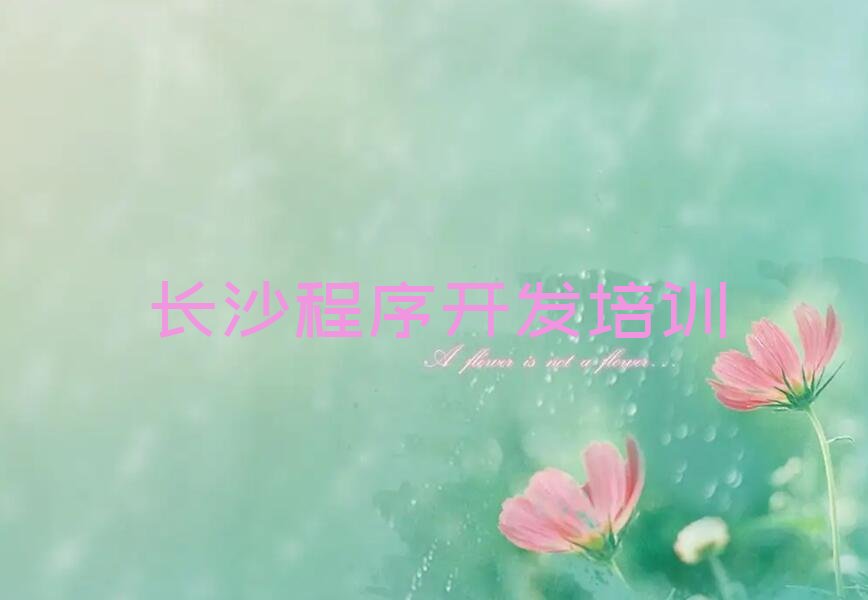长沙雨花区少儿编程培训班