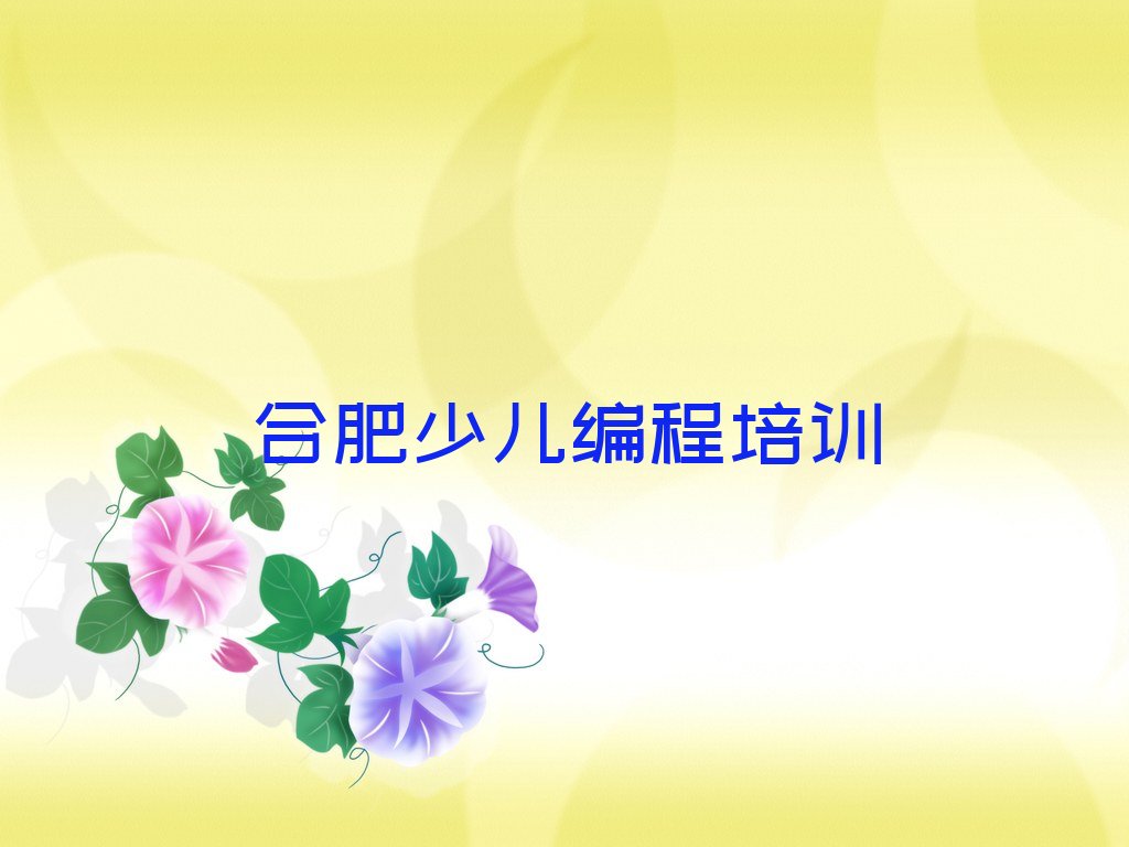 合肥包河区少儿编程培训