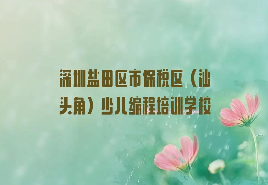 深圳盐田区市保税区（沙头角）少儿编程培训学校