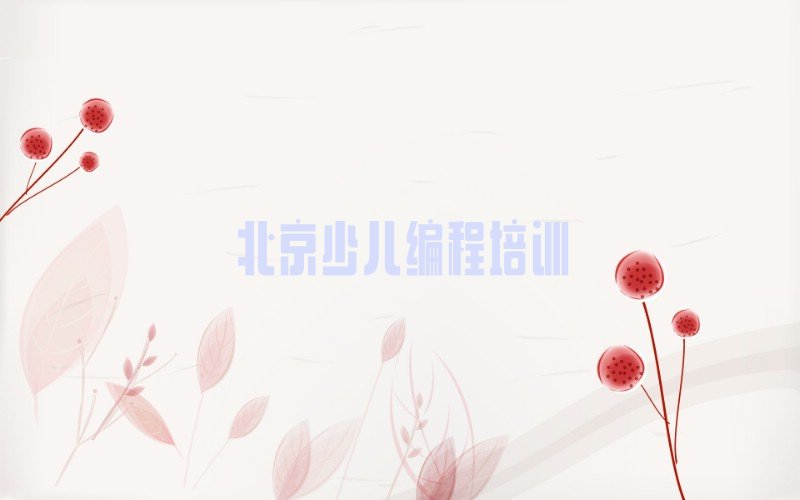 北京通州区少儿编程培训中心