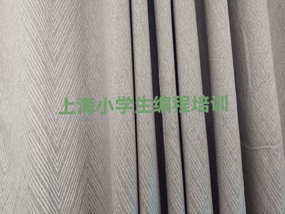 十大上海宝山区线下小学生编程辅导班排行榜
