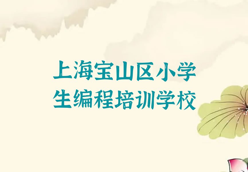 上海宝山区小学生编程培训学校