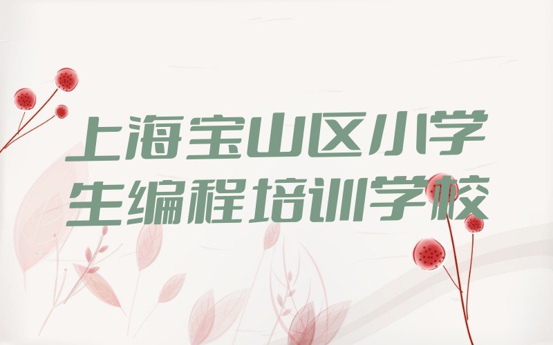 小学生编程