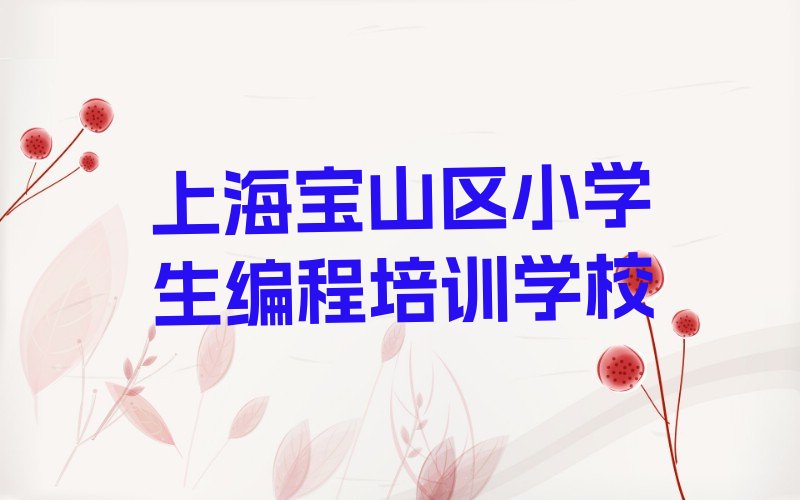 上海宝山区小学生编程培训学校