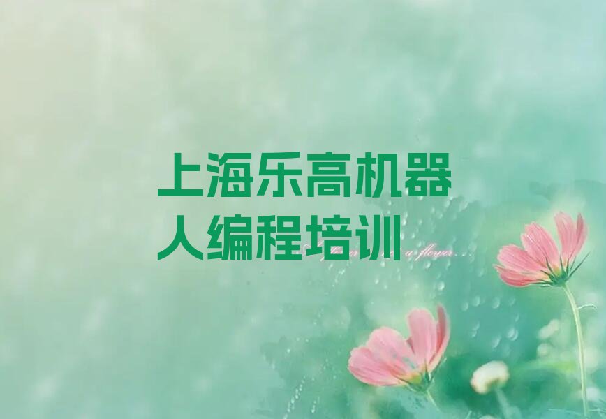 上海奉贤区乐高机器人编程培训学校