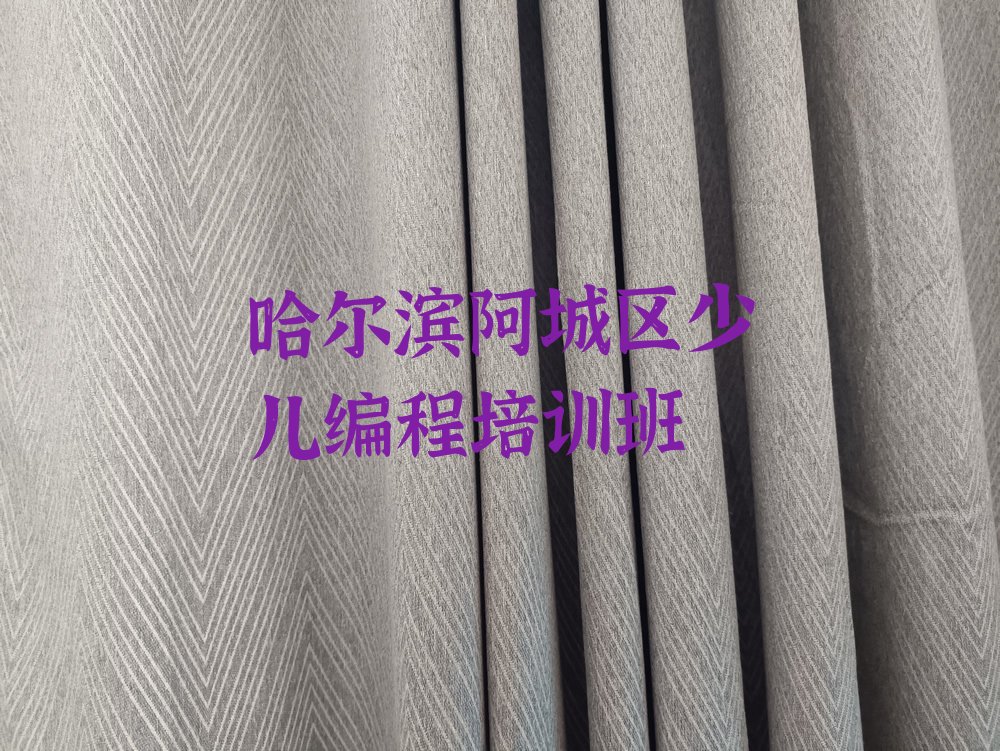 哈尔滨阿城区少儿编程培训班