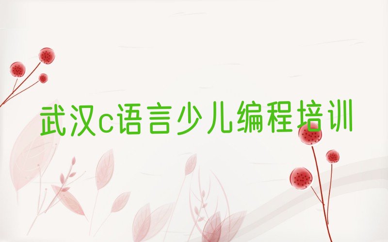 十大武汉新洲区童程童美哪里可以学c语言少儿编程十大排名一览排行榜排行榜