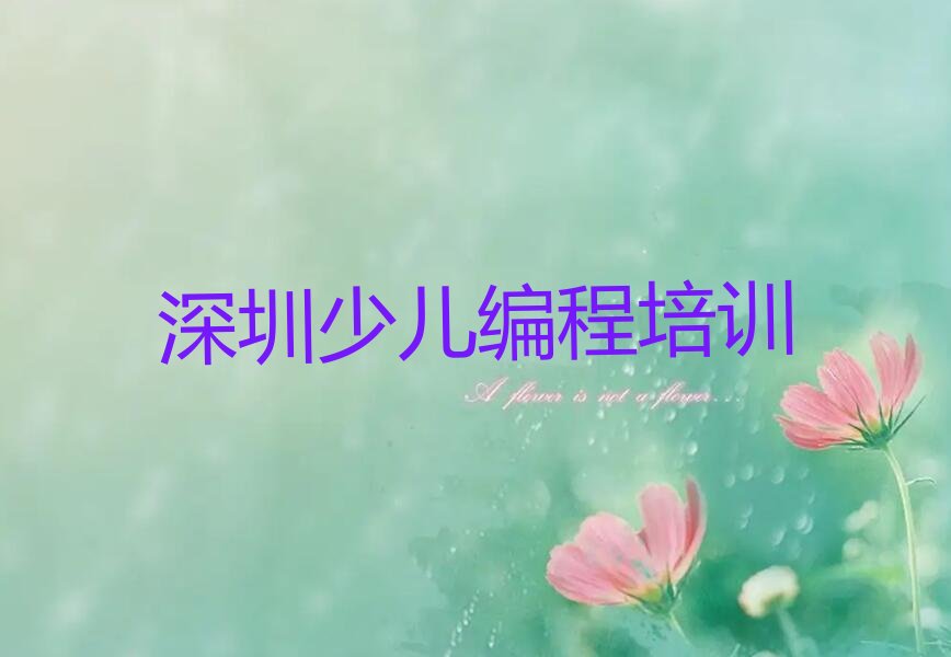 深圳少儿AI机器人编程培训学校