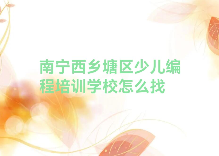 南宁西乡塘区少儿编程培训班