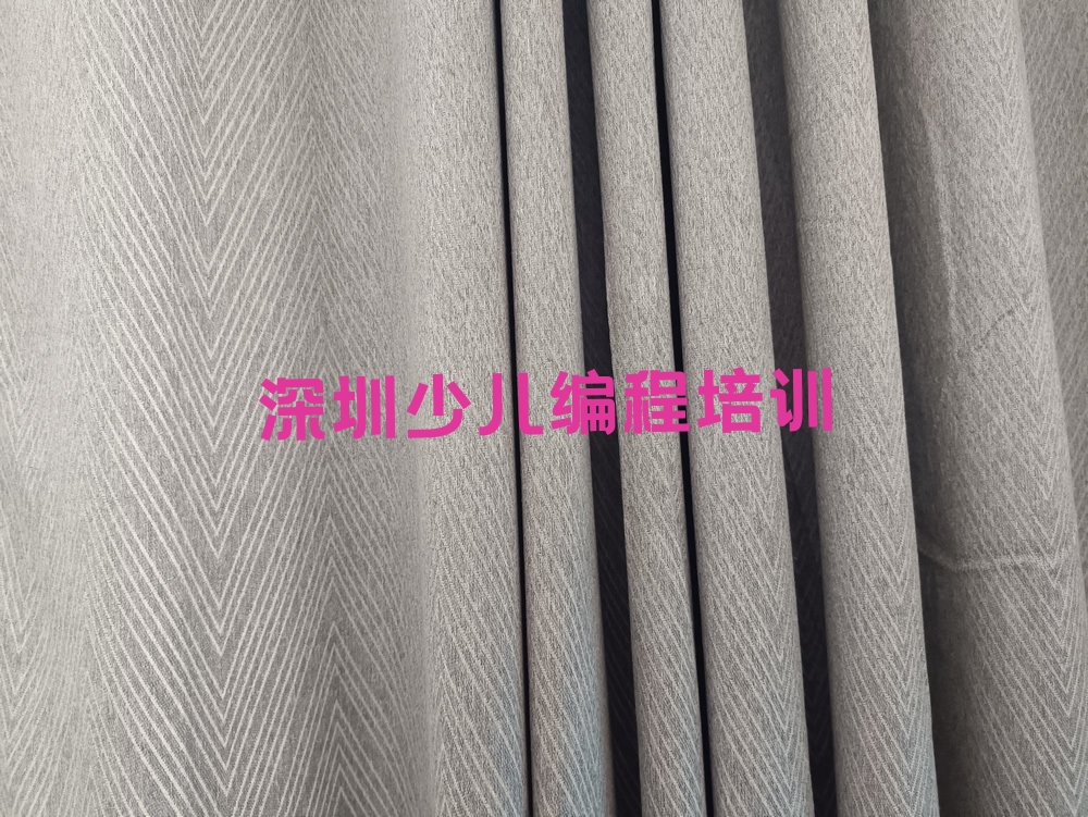 深圳南山区少儿编程培训中心