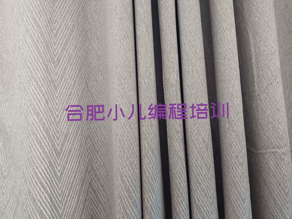 合肥包河区少儿编程培训学校