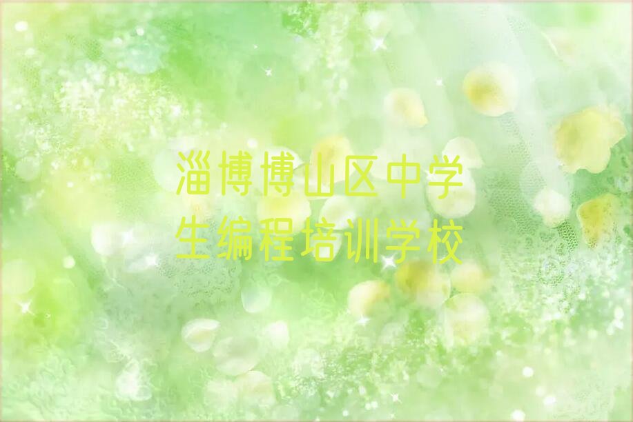 淄博博山区中学生编程培训学校