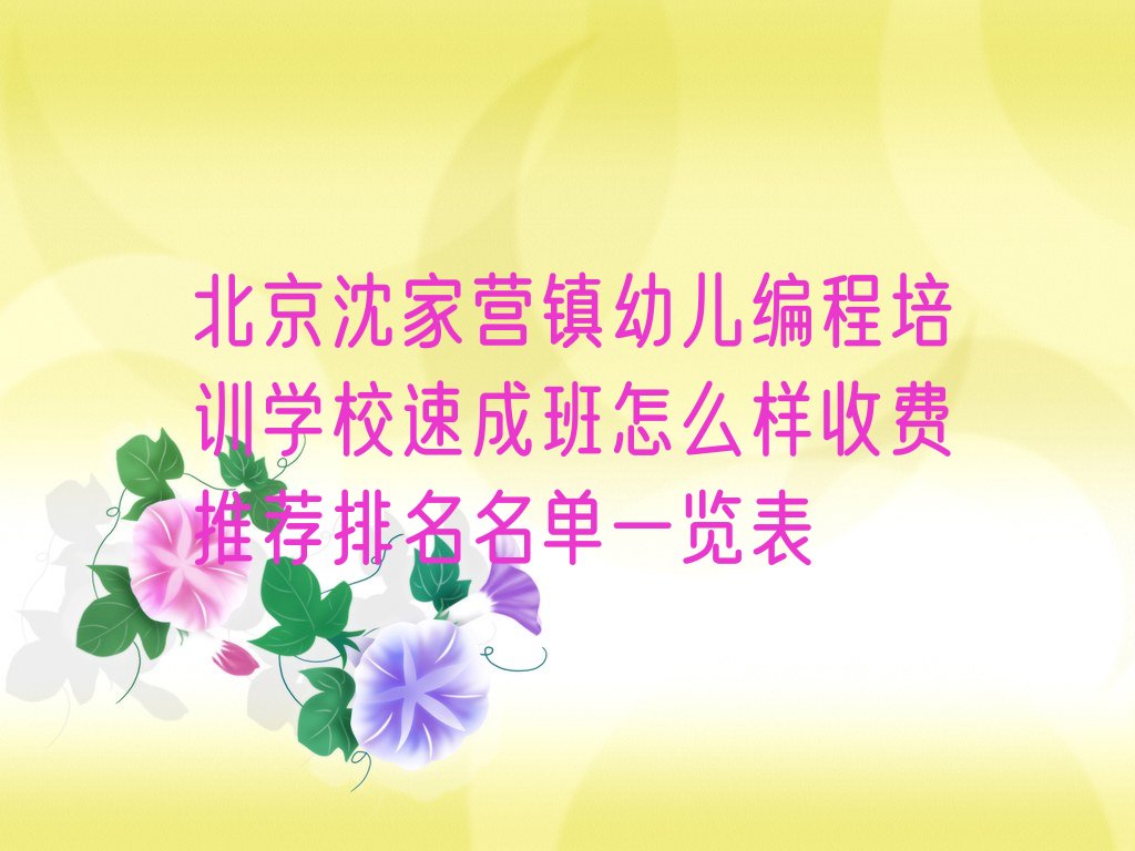北京延庆区沈家营镇幼儿编程培训学校