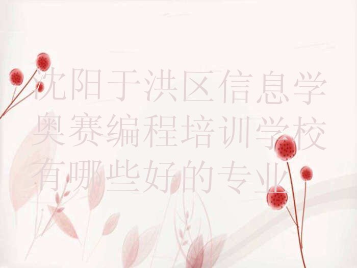 沈阳于洪区信息学奥赛编程培训学校