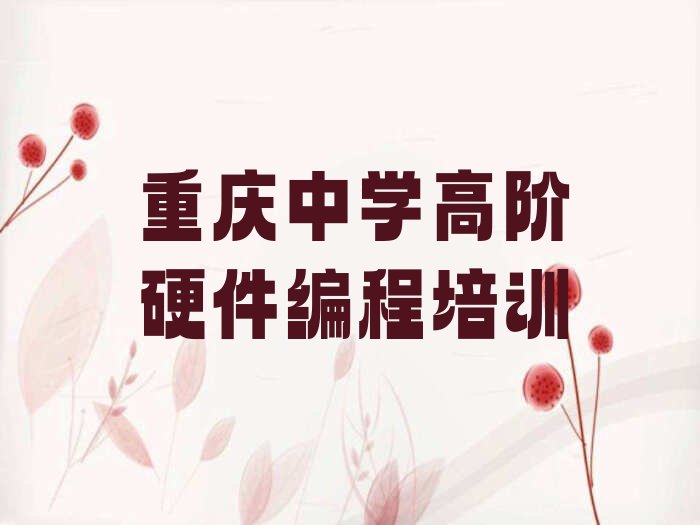 中学高阶硬件编程