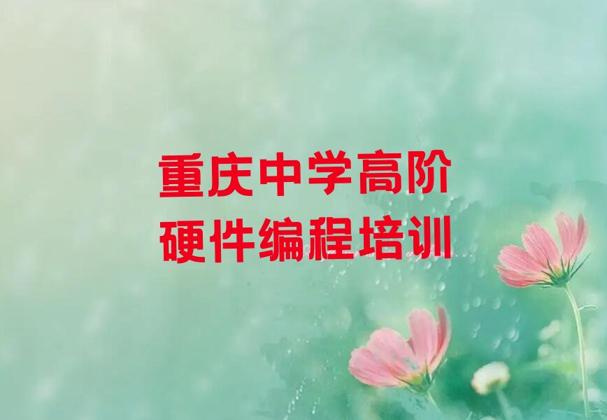 重庆江津区杜市镇少儿编程培训学校