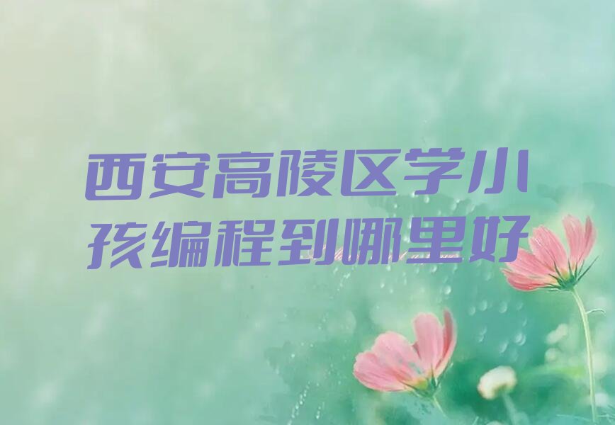 西安高陵区小孩编程培训学校