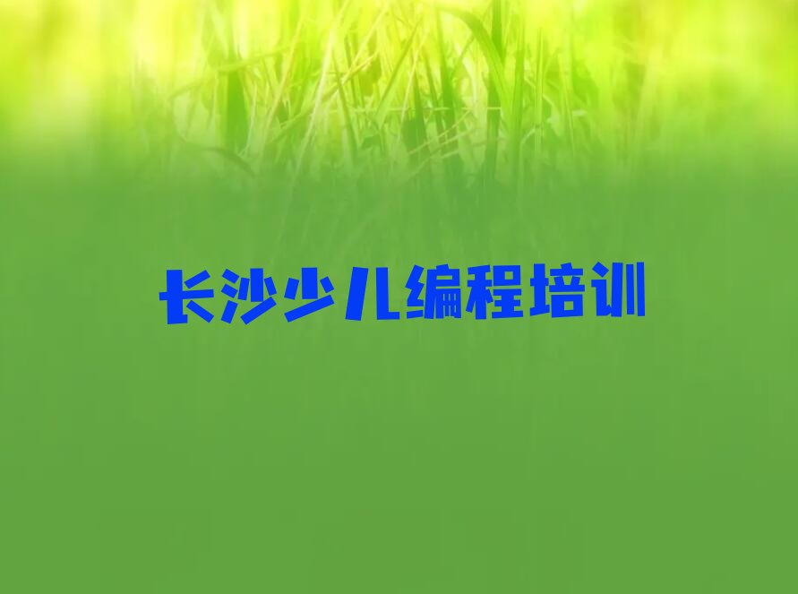 少儿编程