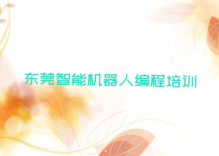 东莞少儿编程培训中心