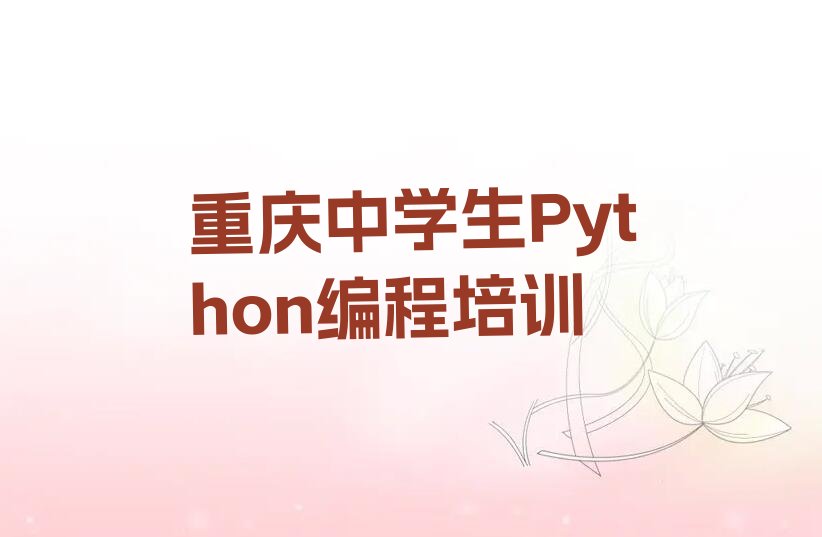 重庆万州区中学生Python编程培训学校