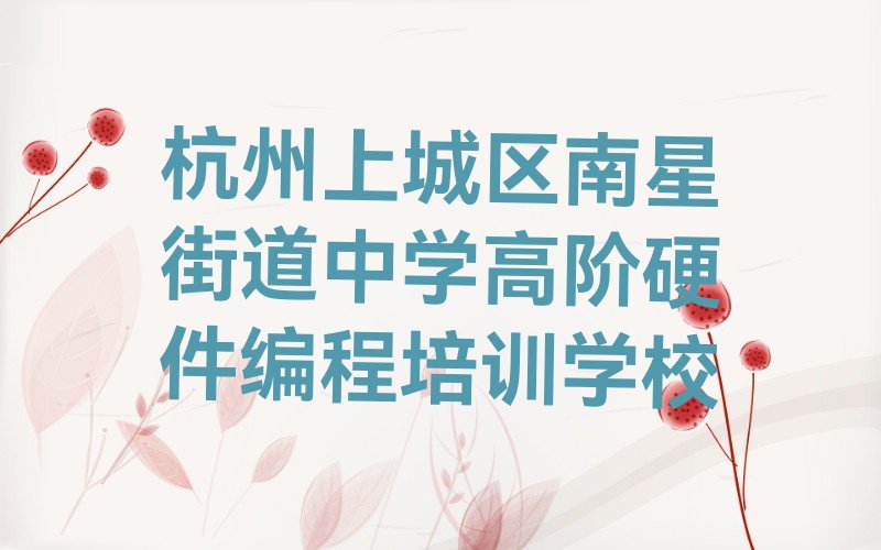 杭州上城区南星街道中学高阶硬件编程培训学校