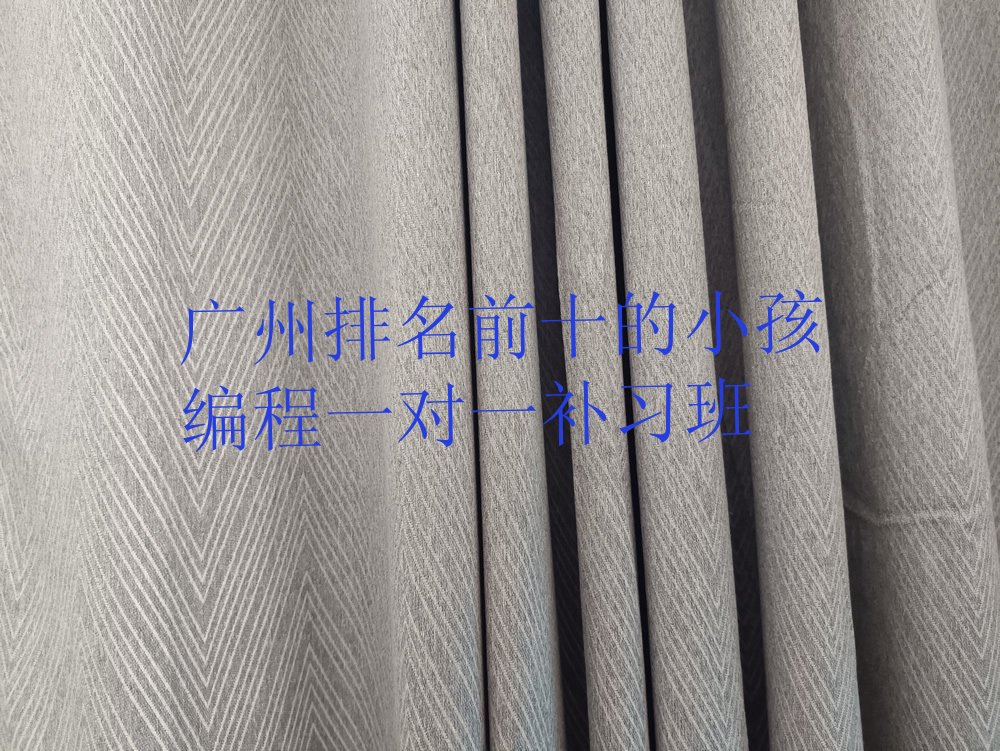 十大广州排名前十的小孩编程一对一补习班排行榜