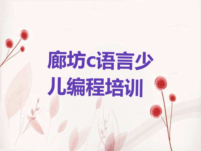廊坊少儿编程培训中心