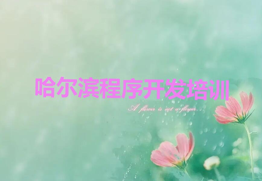 哈尔滨道里区少儿编程培训中心