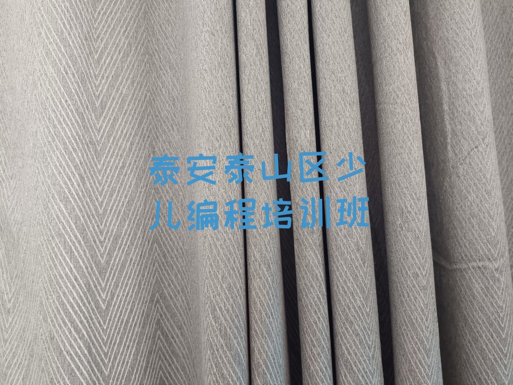 泰安泰山区少儿编程培训班
