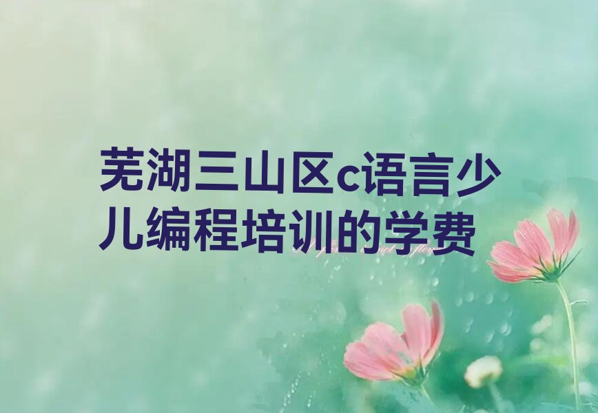 十大芜湖三山区c语言少儿编程培训的学费排行榜