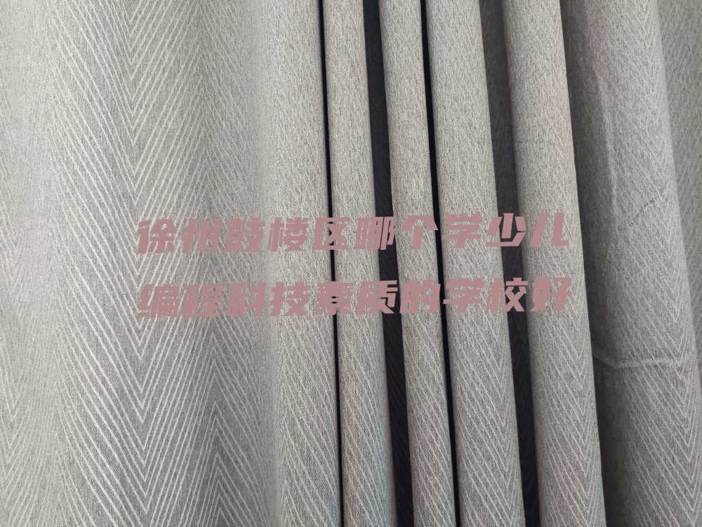 徐州鼓楼区少儿编程科技素质培训学校