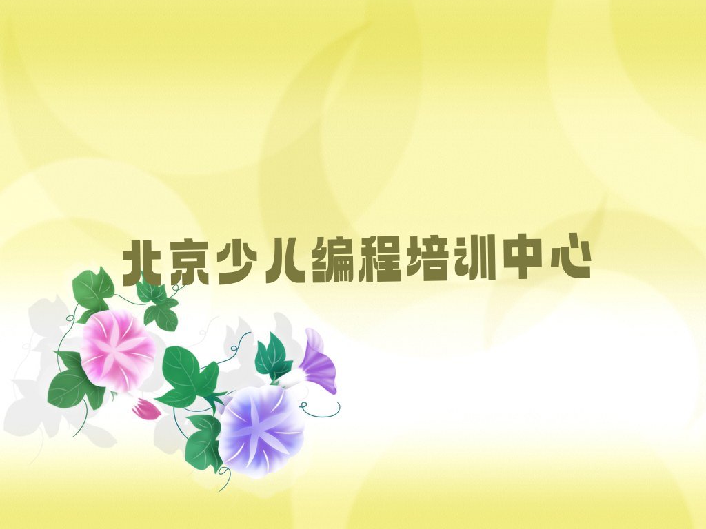 北京少儿编程培训中心