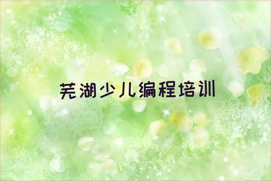芜湖鸠江区安徽芜湖鸠江经济开发区小学生编程培训学校