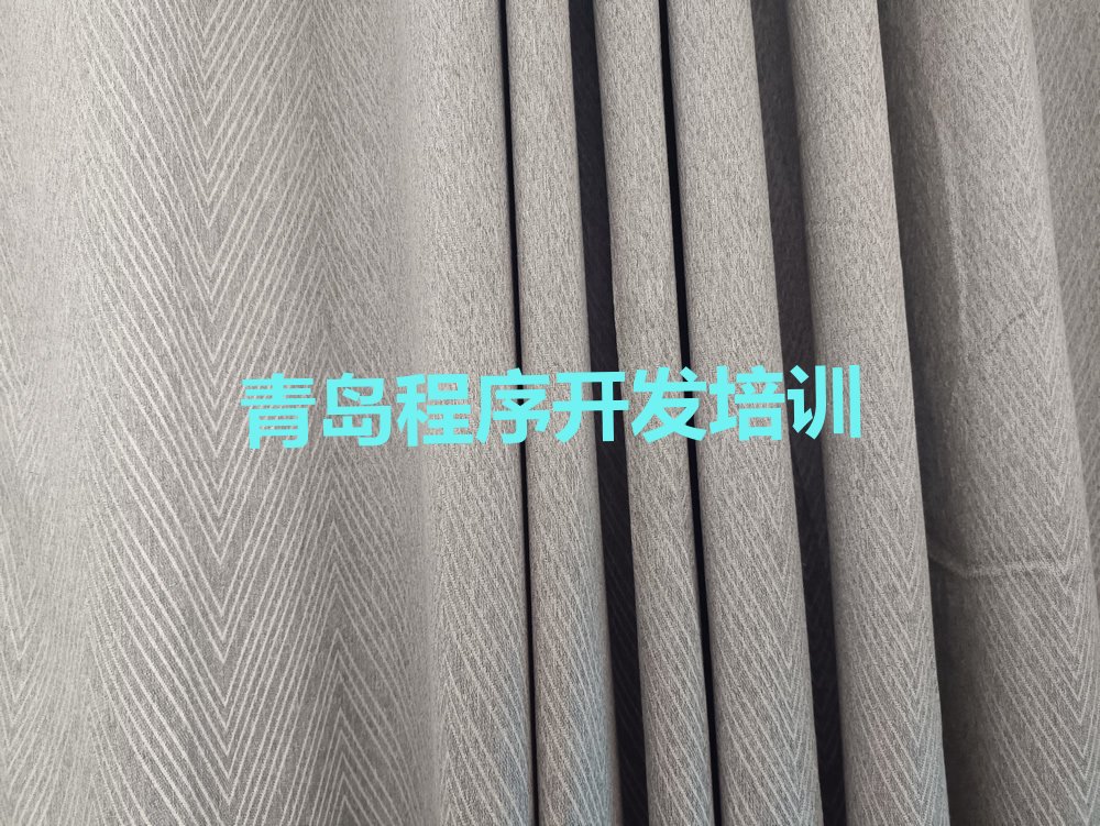 青岛崂山区少儿编程培训学校
