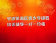 宁波镇海区青少年编程培训辅导一对一价格