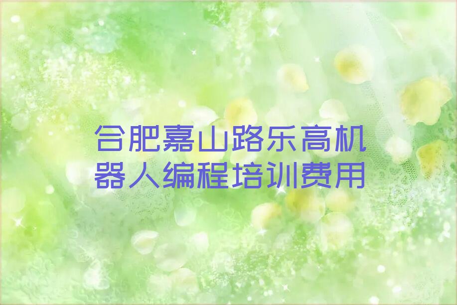 合肥瑶海区嘉山路乐高机器人编程培训学校