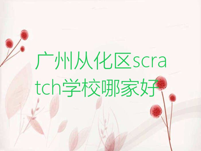 广州从化区城郊街道scratch培训学校