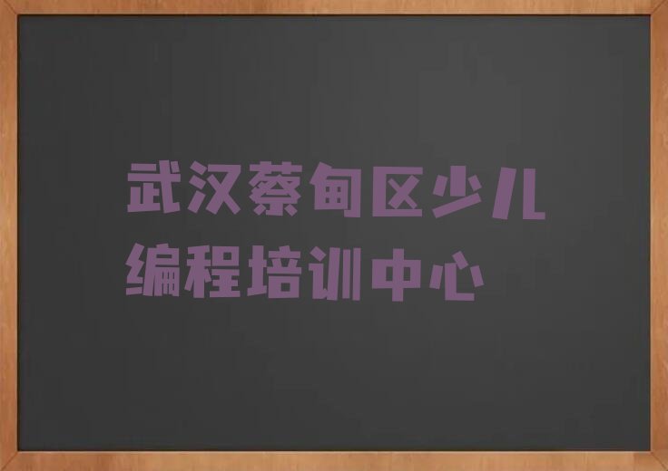 武汉蔡甸区少儿编程培训中心