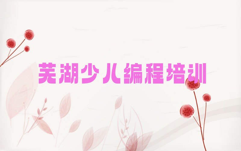 芜湖鸠江区安徽芜湖鸠江经济开发区小学生编程培训学校