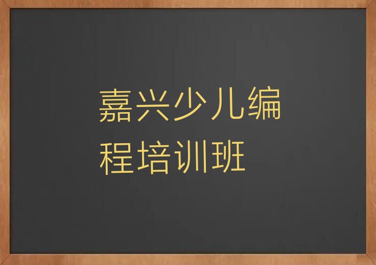 嘉兴少儿编程培训班