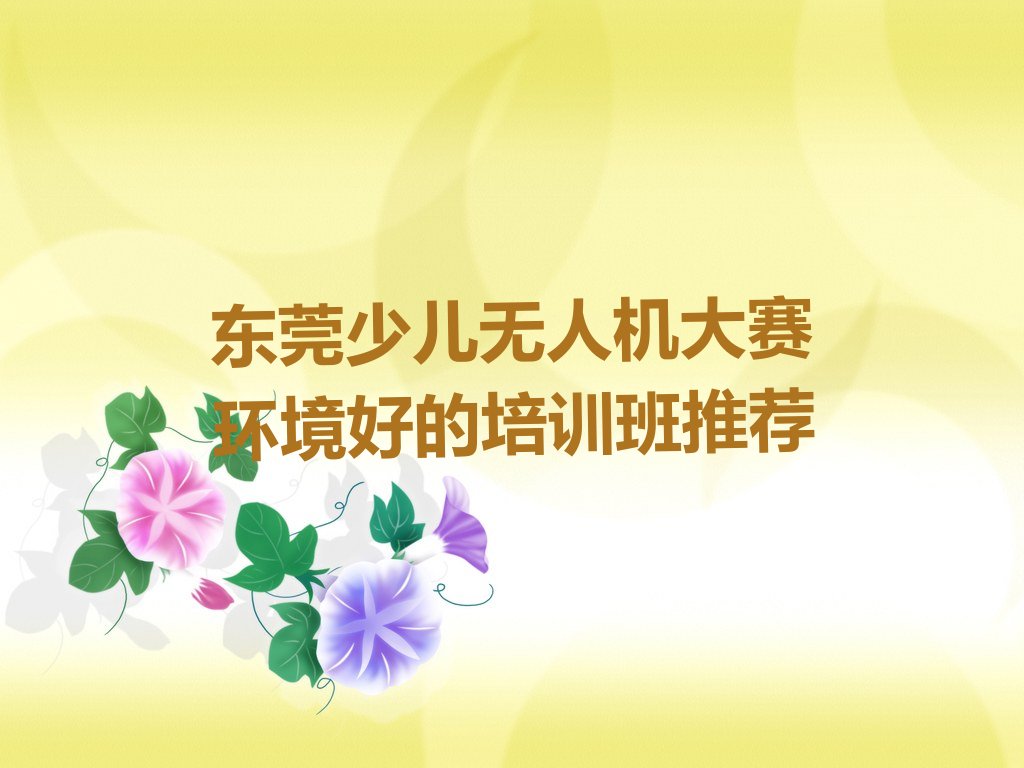 东莞少儿编程培训中心