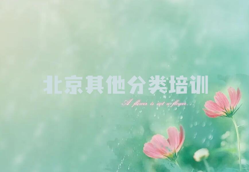 北京少儿无人机大赛培训学校