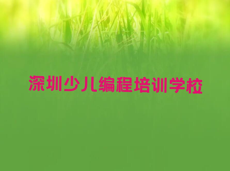 深圳少儿编程培训学校