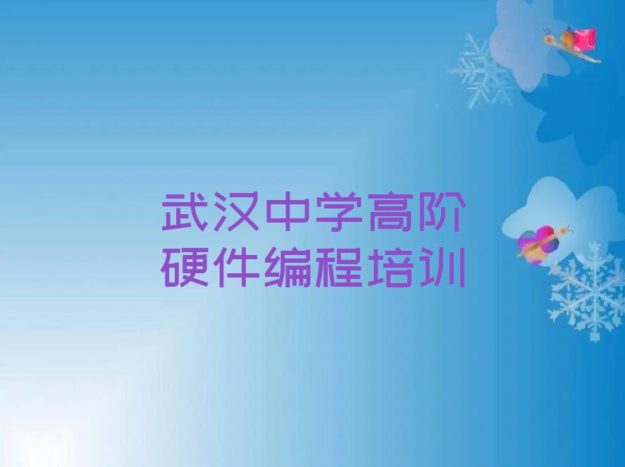 武汉黄陂区李集街道少儿编程培训学校