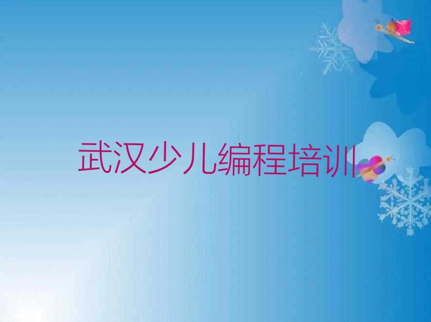 武汉少儿编程培训中心