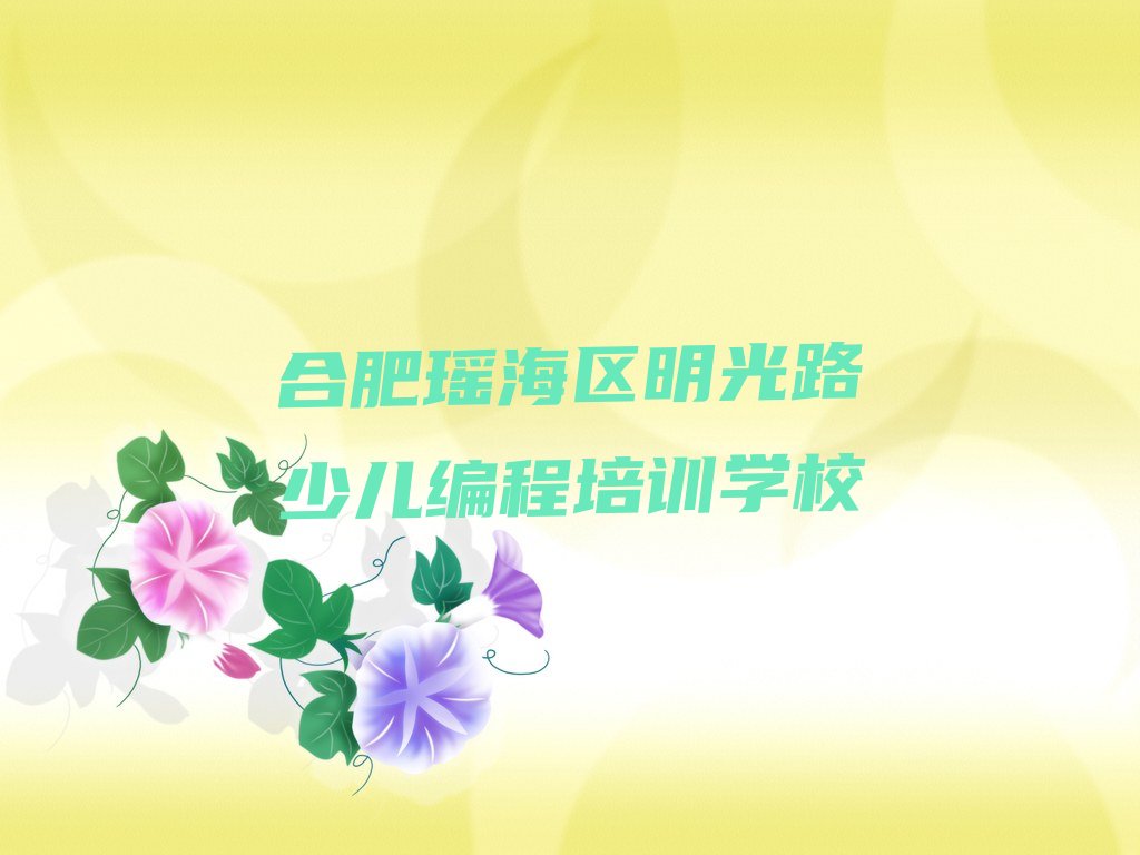 合肥瑶海区明光路少儿编程培训学校
