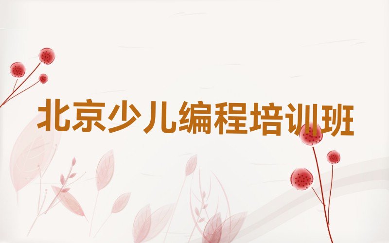 北京少儿编程培训班