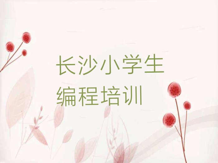 长沙天心区少儿编程培训