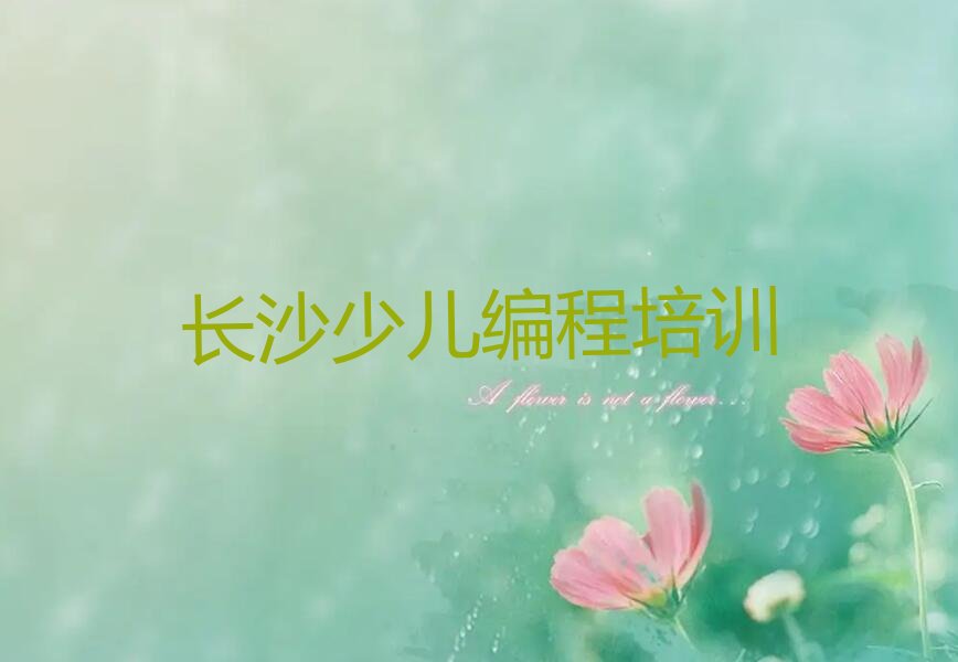 长沙中学生编程培训学校